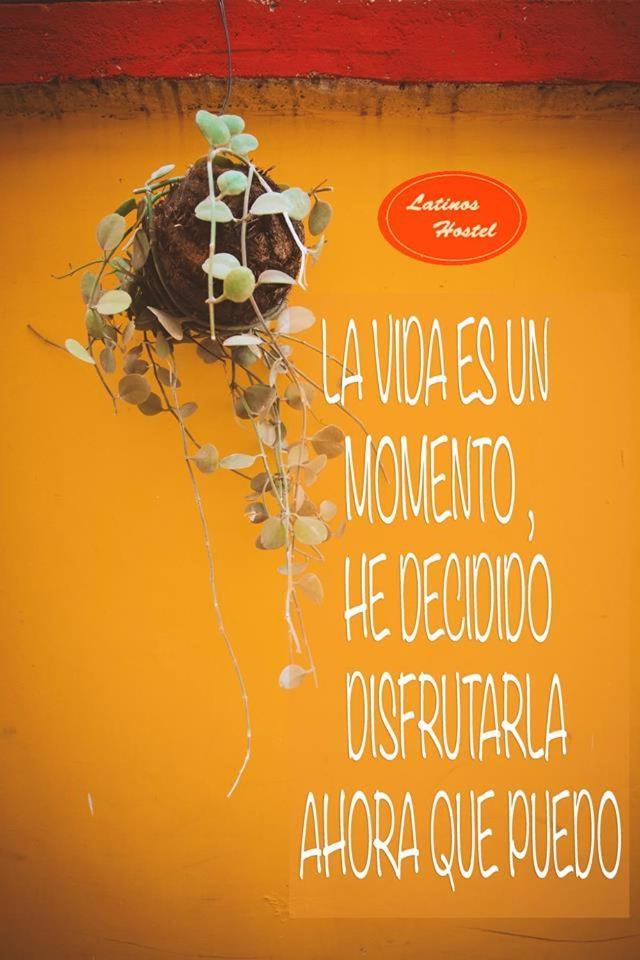 סיאם ריפ Latinos Hostel מראה חיצוני תמונה